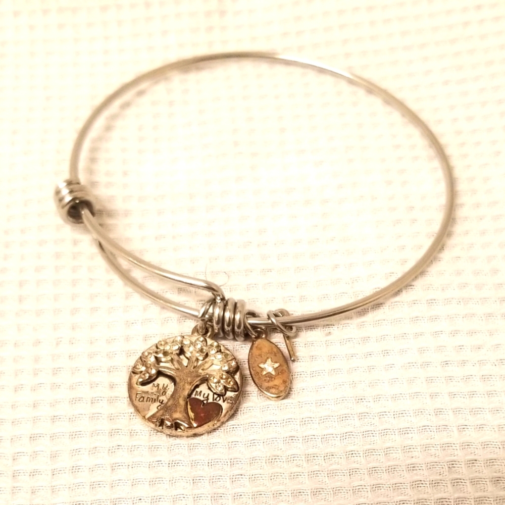 Alex And Ani Tree Of Life (Joshua Tree) Bracelet - image 1